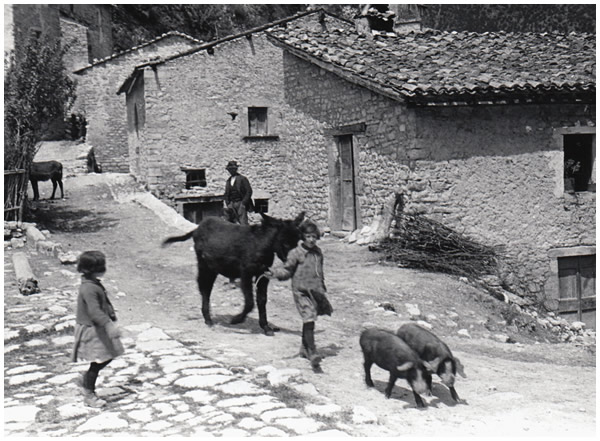 Hilde Lotz-Bauer photo from 1930s Italy